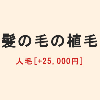 人毛  + 25,000円 